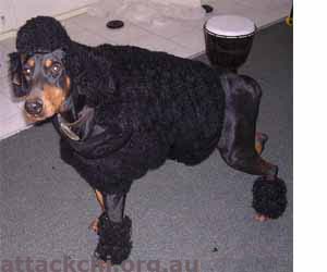 What the heck have you done to me?