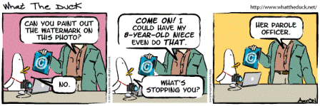 WTD on watermarks and copyright