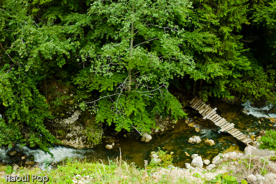 The little bridge down in the valley