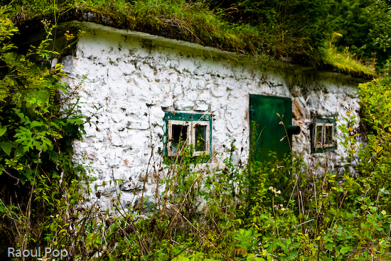 Deserted and overgrown