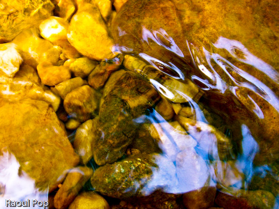 Beautiful reflection