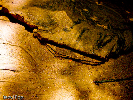 Abstract sand patterns