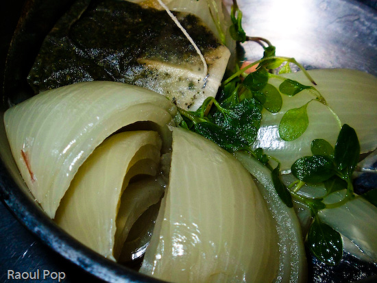 The remains of the onion tea