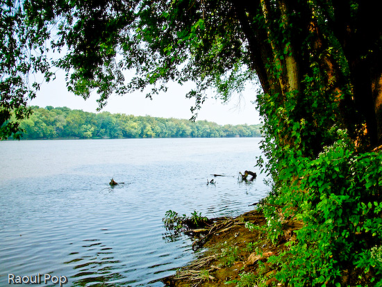 Potomac River at White’s Ferry
