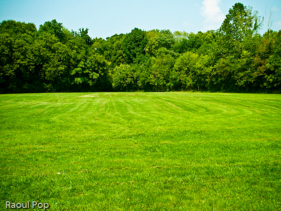 Meadow at White’s Ferry