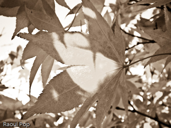 Still have that glow within me