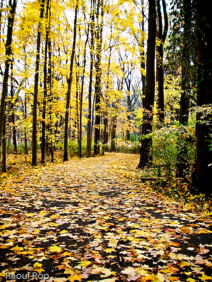 Walking among the fallen
