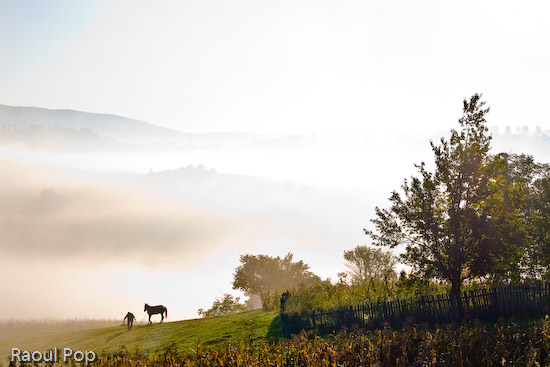 Into the morning sun