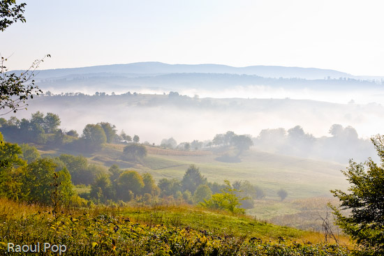 Hill top after hill top