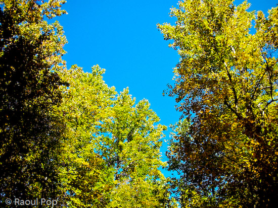 A glimpse of the autumn sky