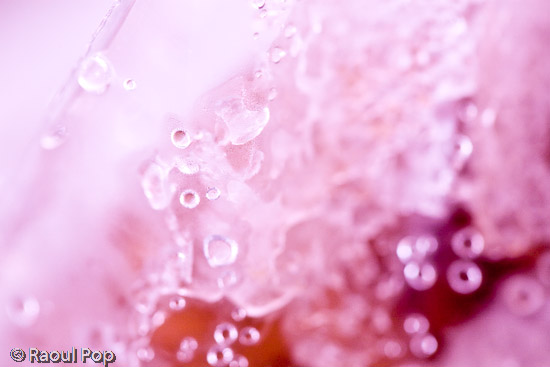 Maroon thoughts of yesteryear