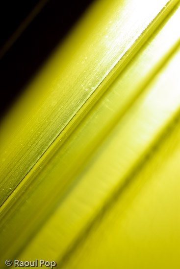 Design is everything