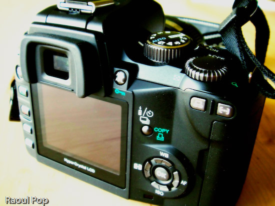 LCD and other controls