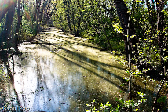 C&O Canal, now stationary