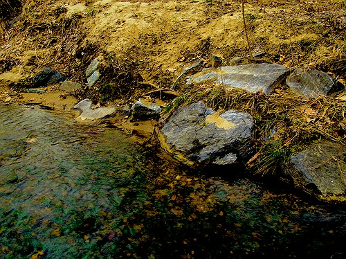 Brook and rocks