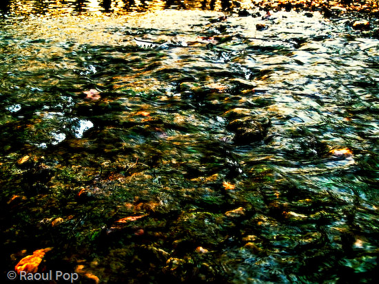 Brook, take two, processed