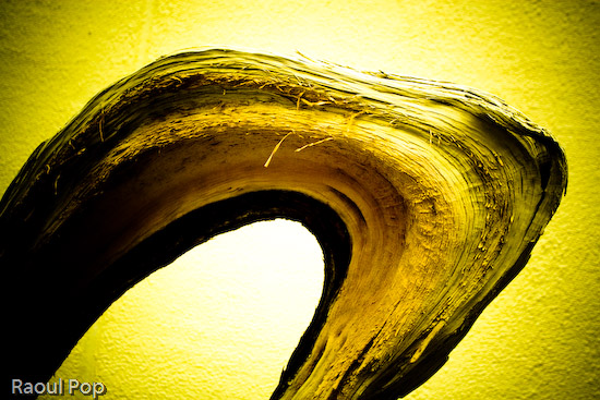 Was there ever any doubt?