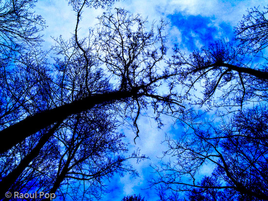 Meeting of the minds