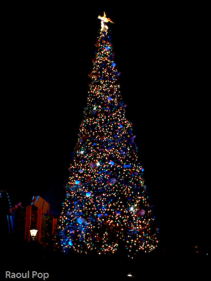 Christmas tree at Walt Disney World