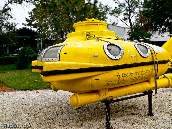 Jacqueline Deep Search