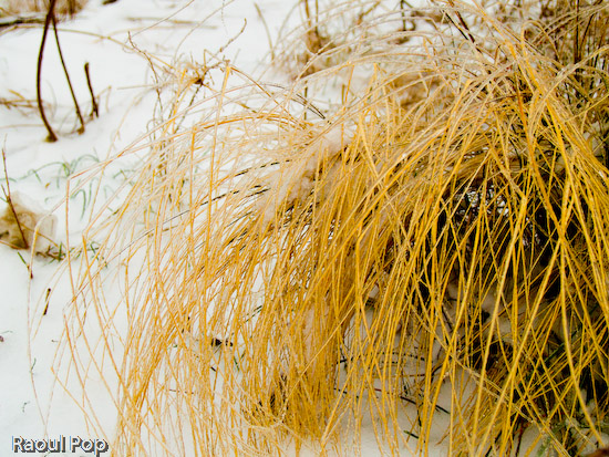 Musing on a fragile life