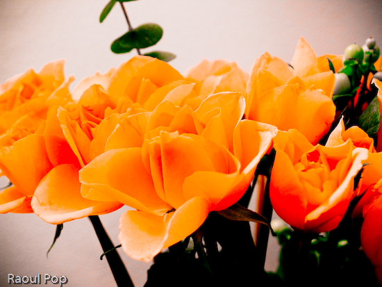 Valentine for my sweetie