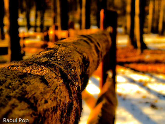 Chat by the country fence