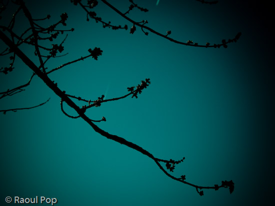 Solitude is peaceful