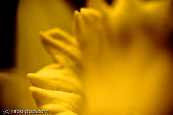 Quite possibly possible