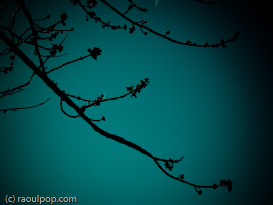 Solitude is peaceful