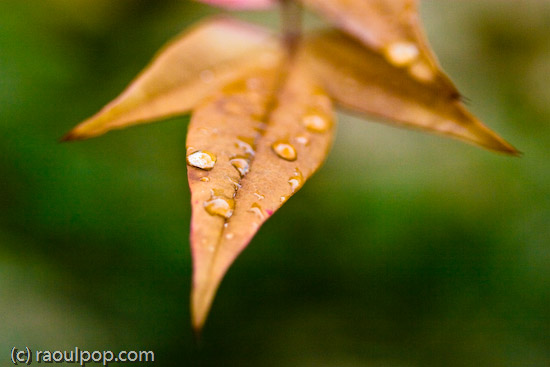 It’s there for you