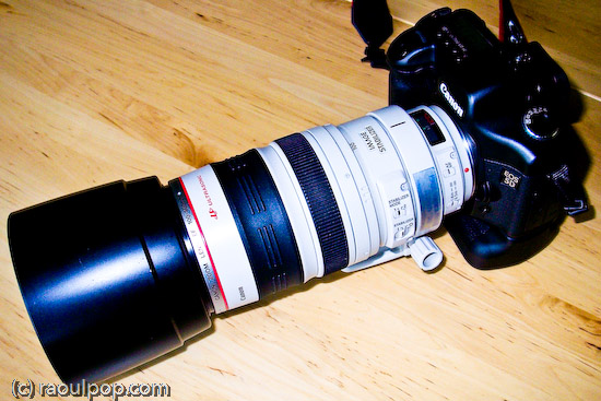 EF 100-400mm lens, wide
