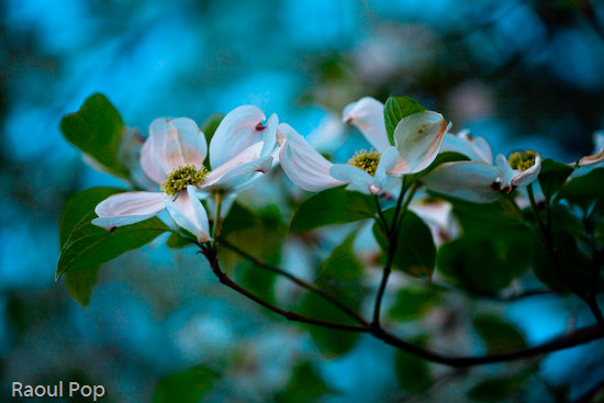 She’s right for me