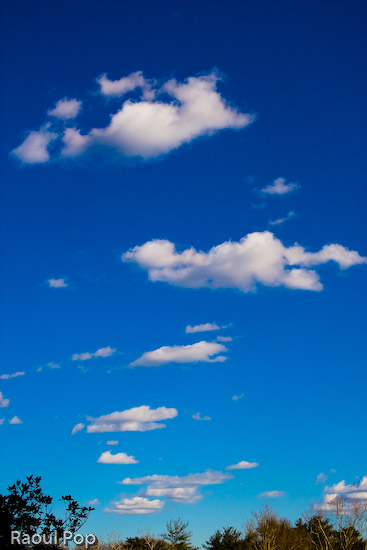 Great day to be alive