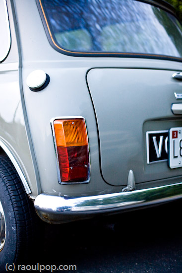 Stout and solid back