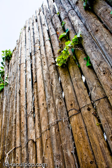 Give it the old once-over