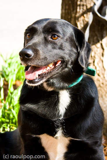 Smile for the camera