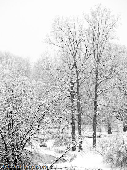 During the snowstorm