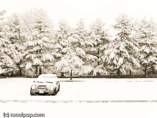 MINI during snowfall