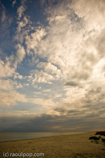 A place in this world