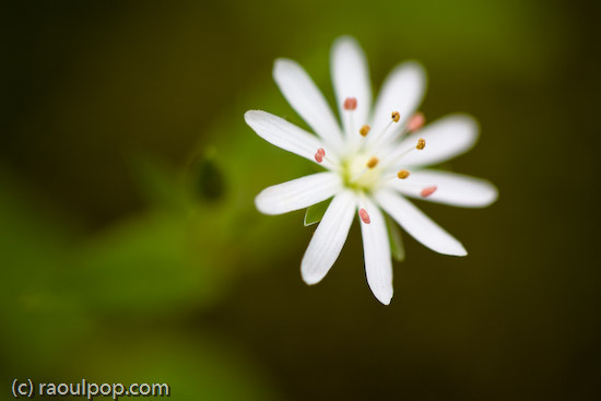 A more rounded point of view