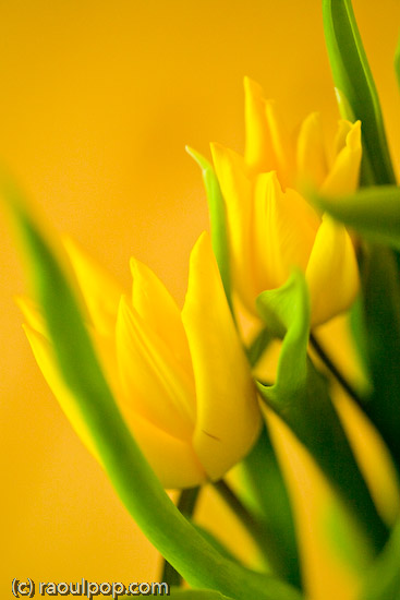 Standing on the balcony
