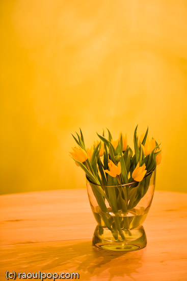 Vase with tulips