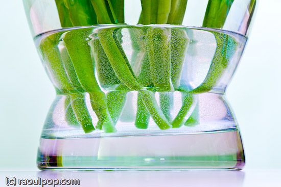 Stems in water