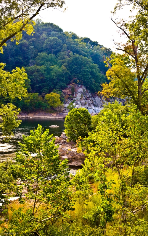 The Potomac River shore in late afternoon. Taken near Great Falls, MD.