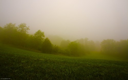 Life, as I want to know it