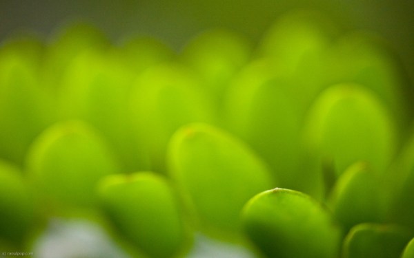 In the grander scheme of things