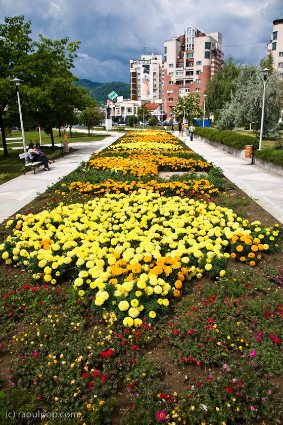 baia-mare-maramures-15