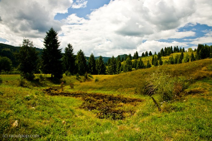 prs-vama-bucovina-24