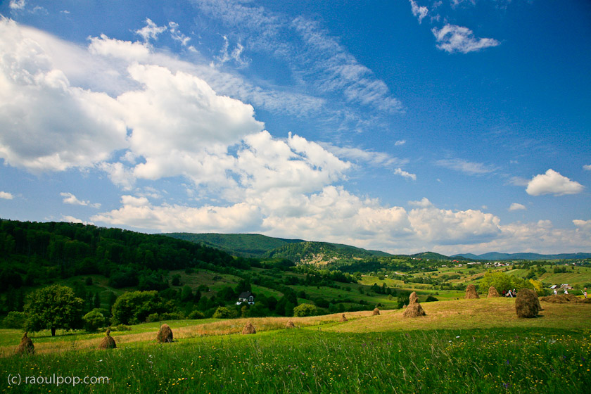 Gathering hay in Bucovina